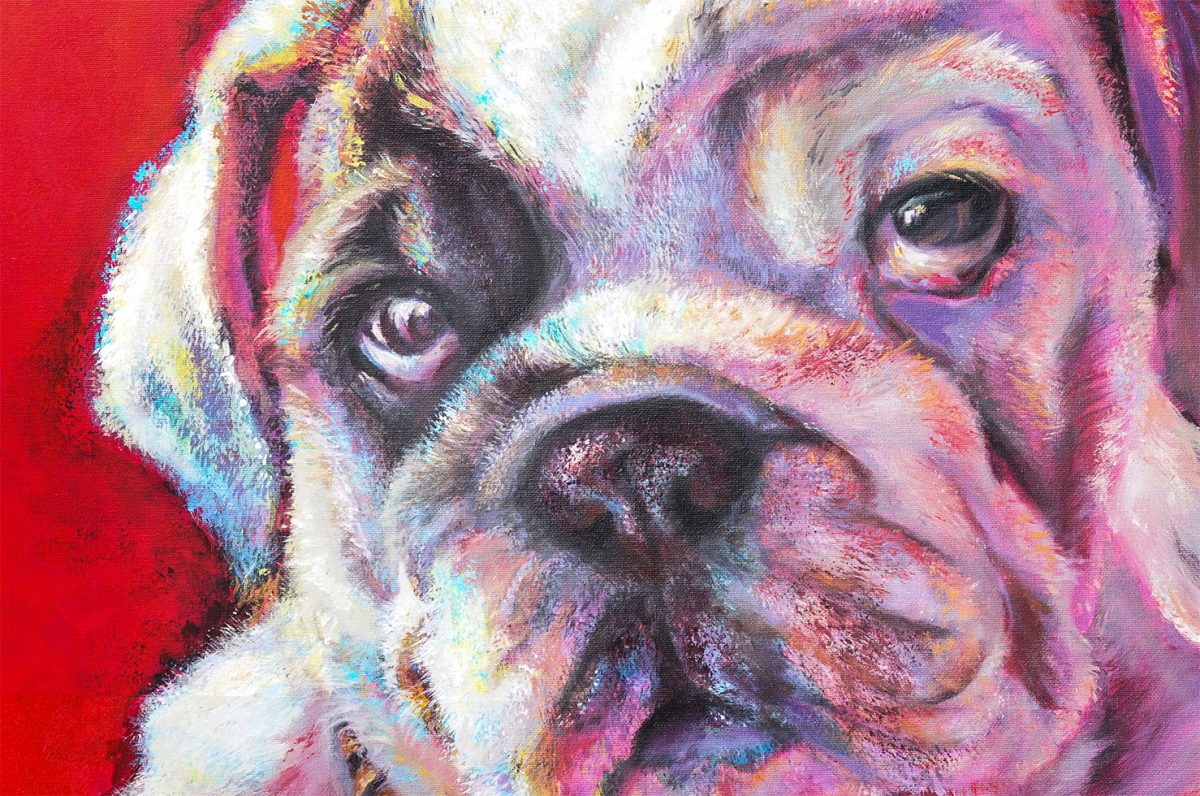 Pitbull Puppy Original Oil Painting Detail
